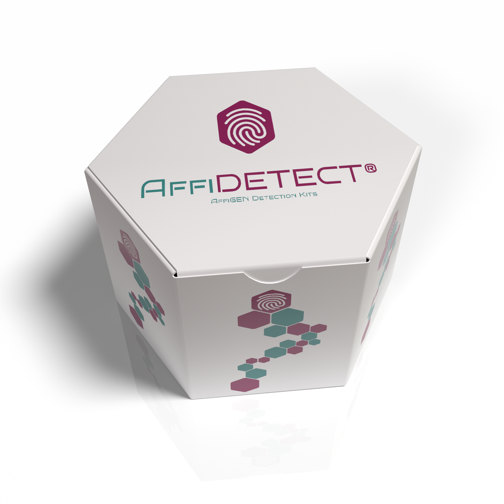 AffiDETECT® Hemoglobin High Sensitivity Colorimetric Detection Kit (2 Plate) 