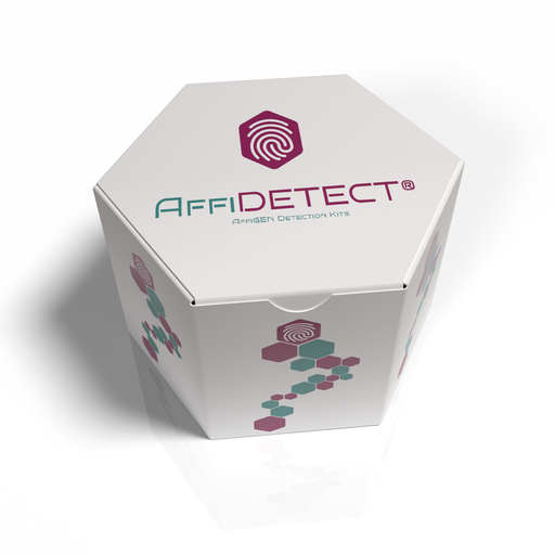 [AFG-CRB-4310] AffiDETECT® Anti-SARS-CoV-2 Neutralizing Antibody Quantitative Detection Kit (Spike RBD) 