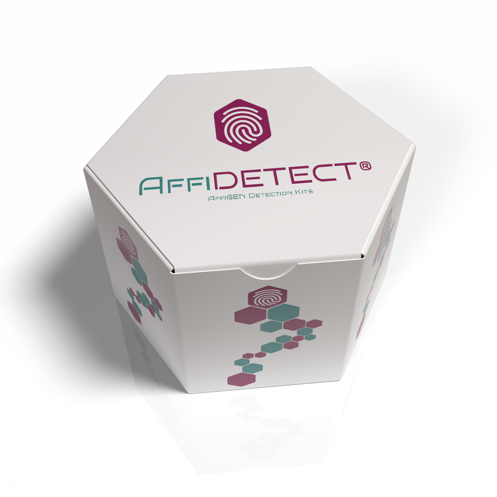 AffiDETECT® Annexin V-APC Reagent