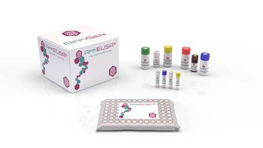 [AFG-BGC-0007] AffiDETECT® Pichia pastoris Host Cell Protein (HCP) ELISA Kit, G3